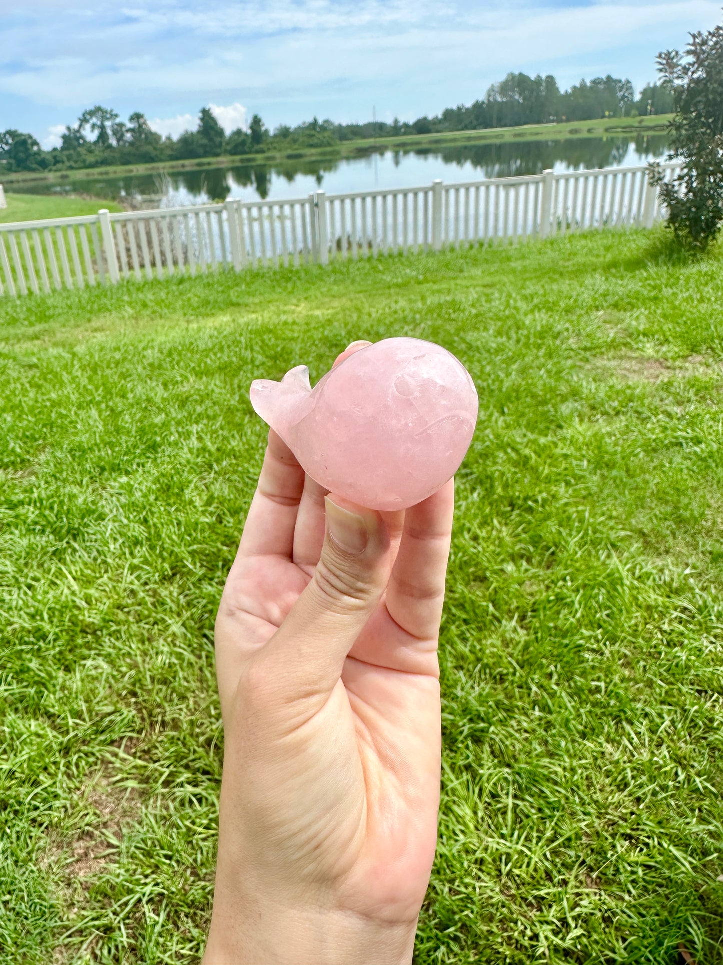 Rose Quartz Whale Carving, Elegant and Heartwarming Decor, Perfect for Home or Office, Unique Gift for Whale Lovers