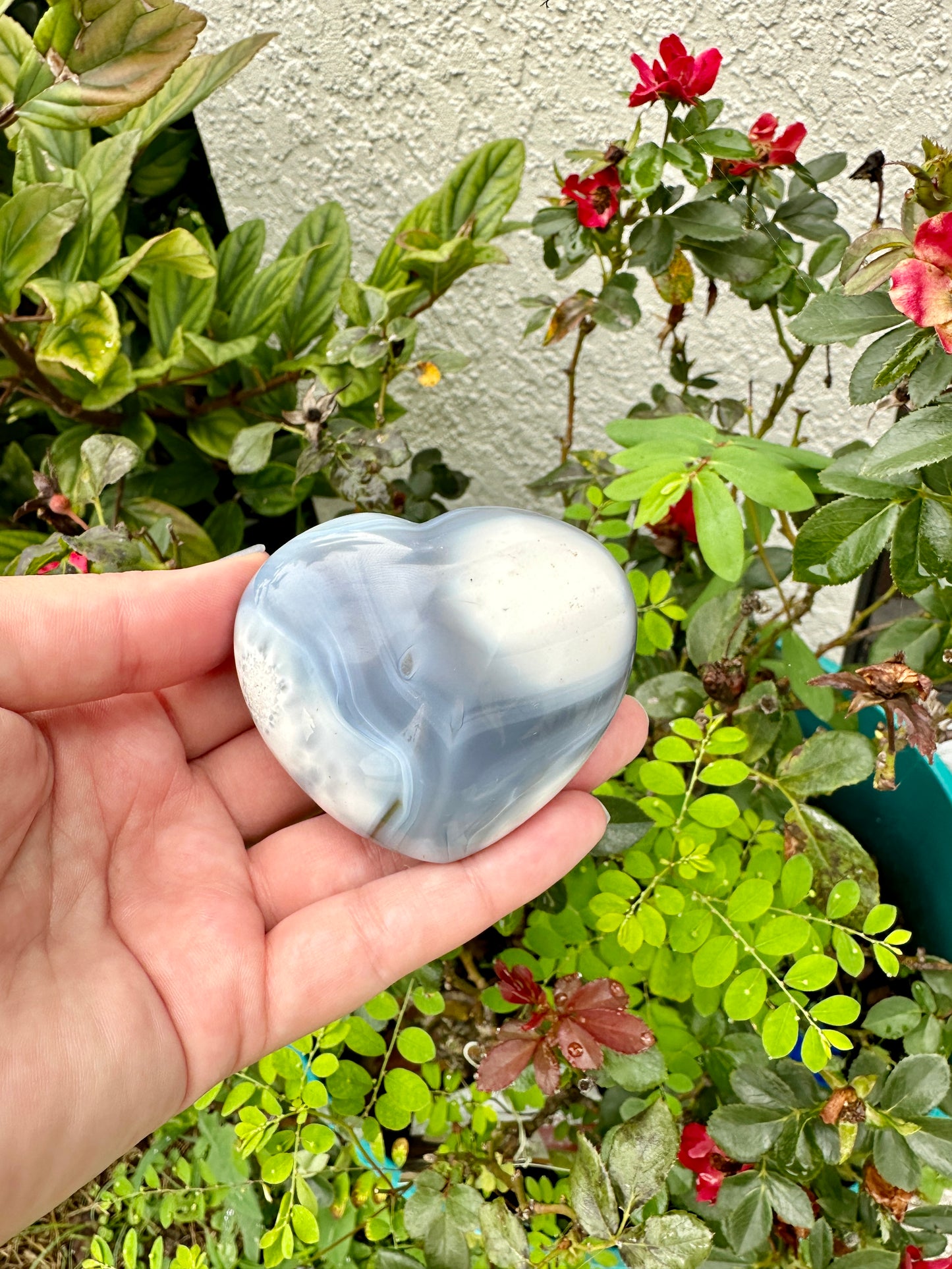 Orca Agate Heart - Dive into Emotional Healing and Oceanic Serenity, Perfect for Love and Calmness, Ideal for Meditation and Romantic Decor