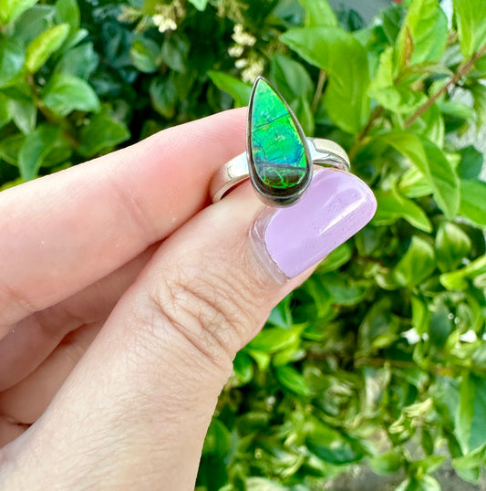 Radiant Size 6 Ammolite Ring in Sterling Silver - A Dazzling Display of Color, Perfect for Adding a Touch of Elegance to Any Outfit