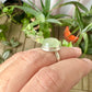 Sterling Silver Prehnite Ring Size 6.25 - Natural Gemstone Jewelry - Elegant Boho Style Statement Ring - Unique Gift for Her