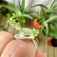 Sterling Silver Prehnite Ring Size 6.25 - Natural Gemstone Jewelry - Elegant Boho Style Statement Ring - Unique Gift for Her