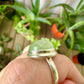 Sterling Silver Prehnite Ring Size 6.25 - Natural Gemstone Jewelry - Elegant Boho Style Statement Ring - Unique Gift for Her