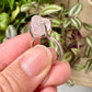 Raw Kunzite Sterling Silver Ring Size 7 - Natural Gemstone Jewelry - Elegant Boho Style Statement Ring - Unique Gift for Her