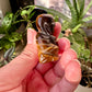 Tiger's Eye Buddha Carving: Spiritual Decor for Meditation and Harmony, Gemstone Statue for Inner Peace