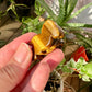 Tiger's Eye Buddha Carving: Spiritual Decor for Meditation and Harmony, Gemstone Statue for Inner Peace