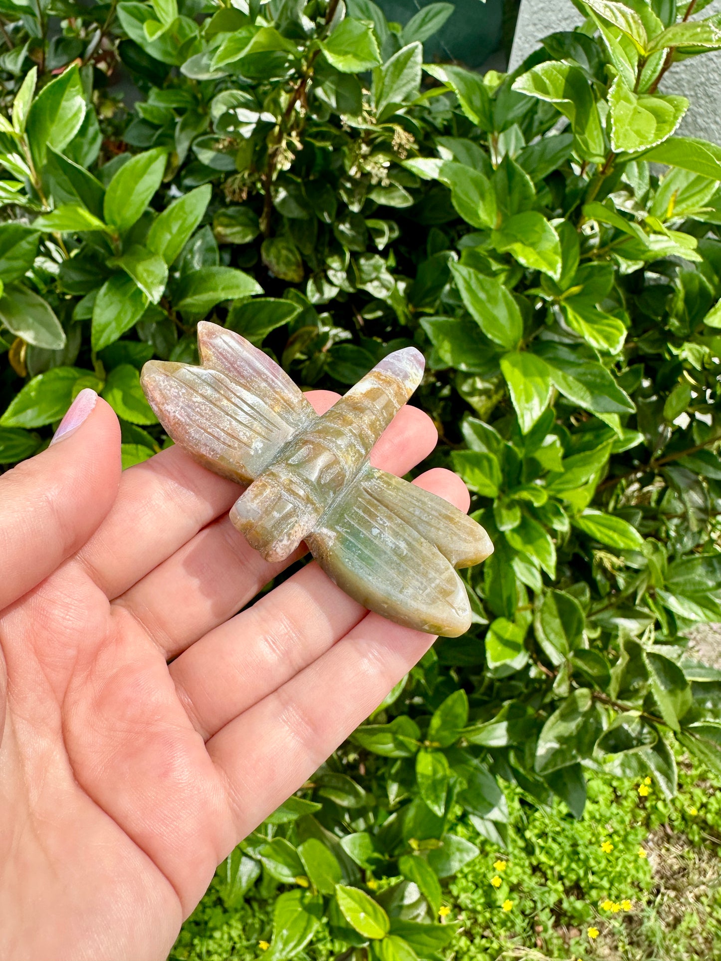 Ocean Jasper Dragonfly Carving - Unique Handcrafted Gemstone Decor for Home and Healing Spaces