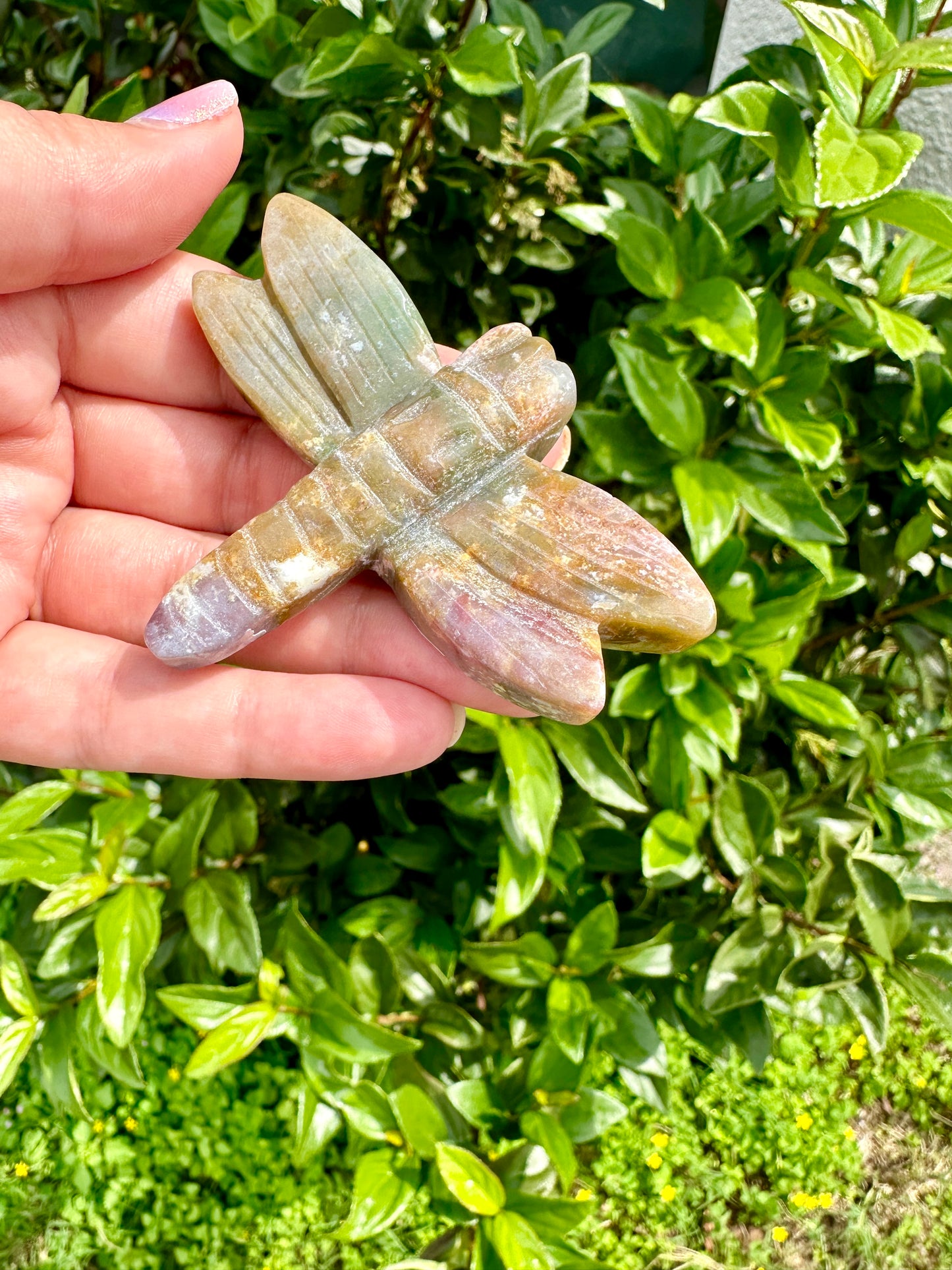 Ocean Jasper Dragonfly Carving - Unique Handcrafted Gemstone Decor for Home and Healing Spaces