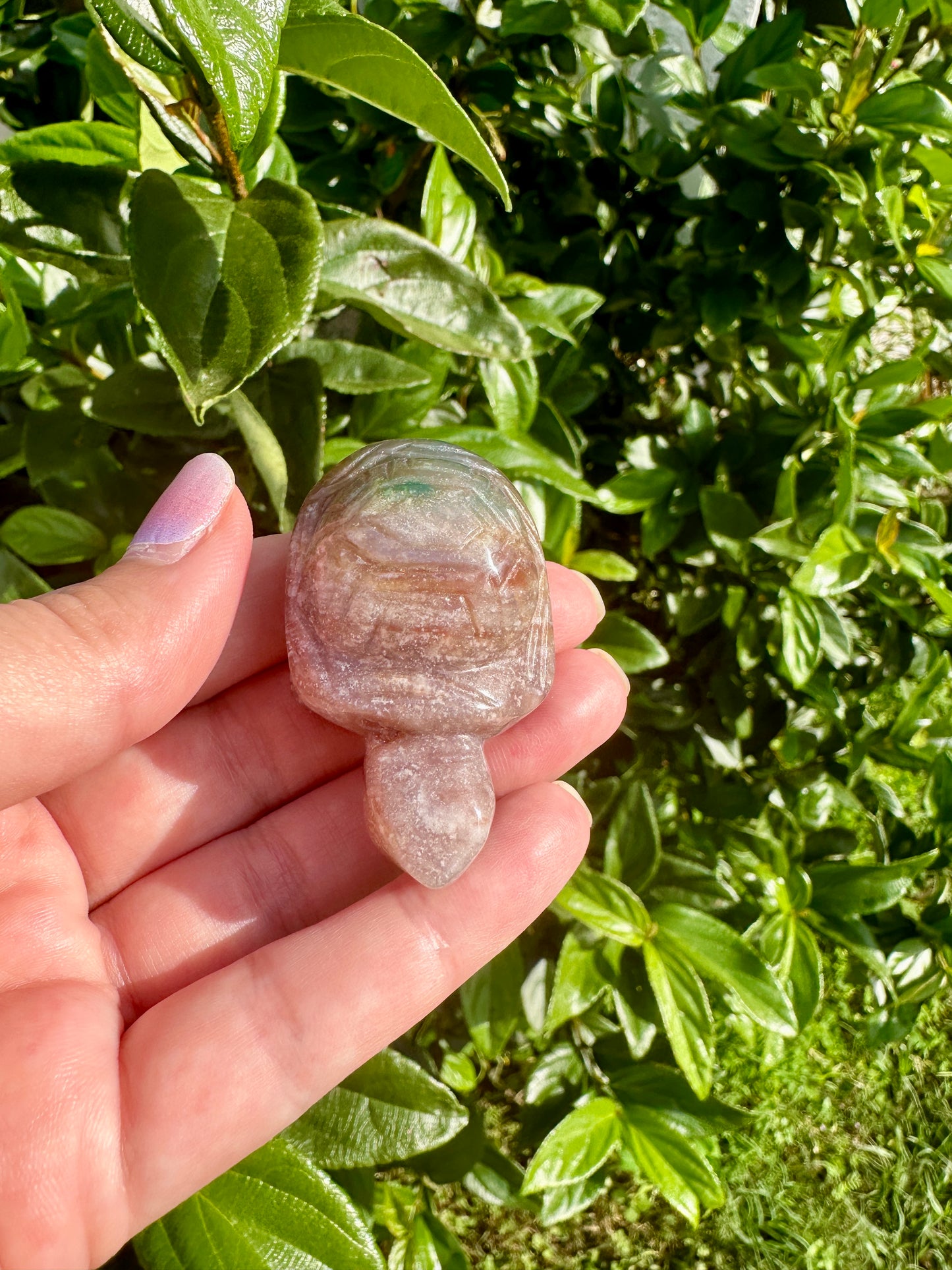 Ocean Jasper Turtle Sculpture: Unique Handcrafted Gemstone Turtle, Perfect Home Decor and Gift Idea, Radiating Calming Energy