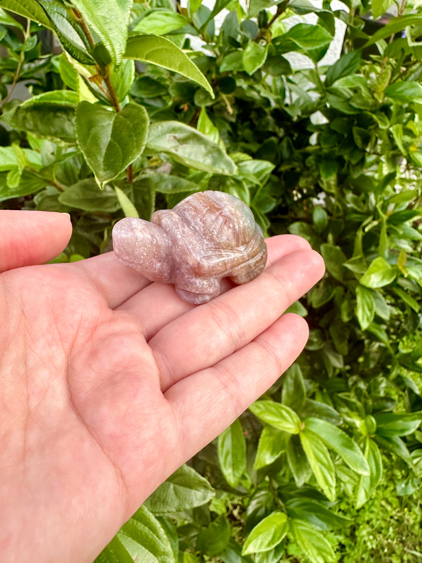 Ocean Jasper Turtle Sculpture: Unique Handcrafted Gemstone Turtle, Perfect Home Decor and Gift Idea, Radiating Calming Energy