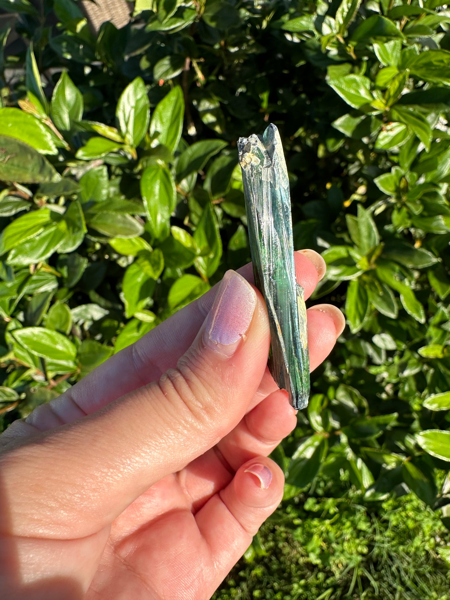 Rare Vivianite Specimen - Natural Crystal for Collectors, Healing Energy Mineral, Vibrant Blue Green Stone, Unique Geological Gift