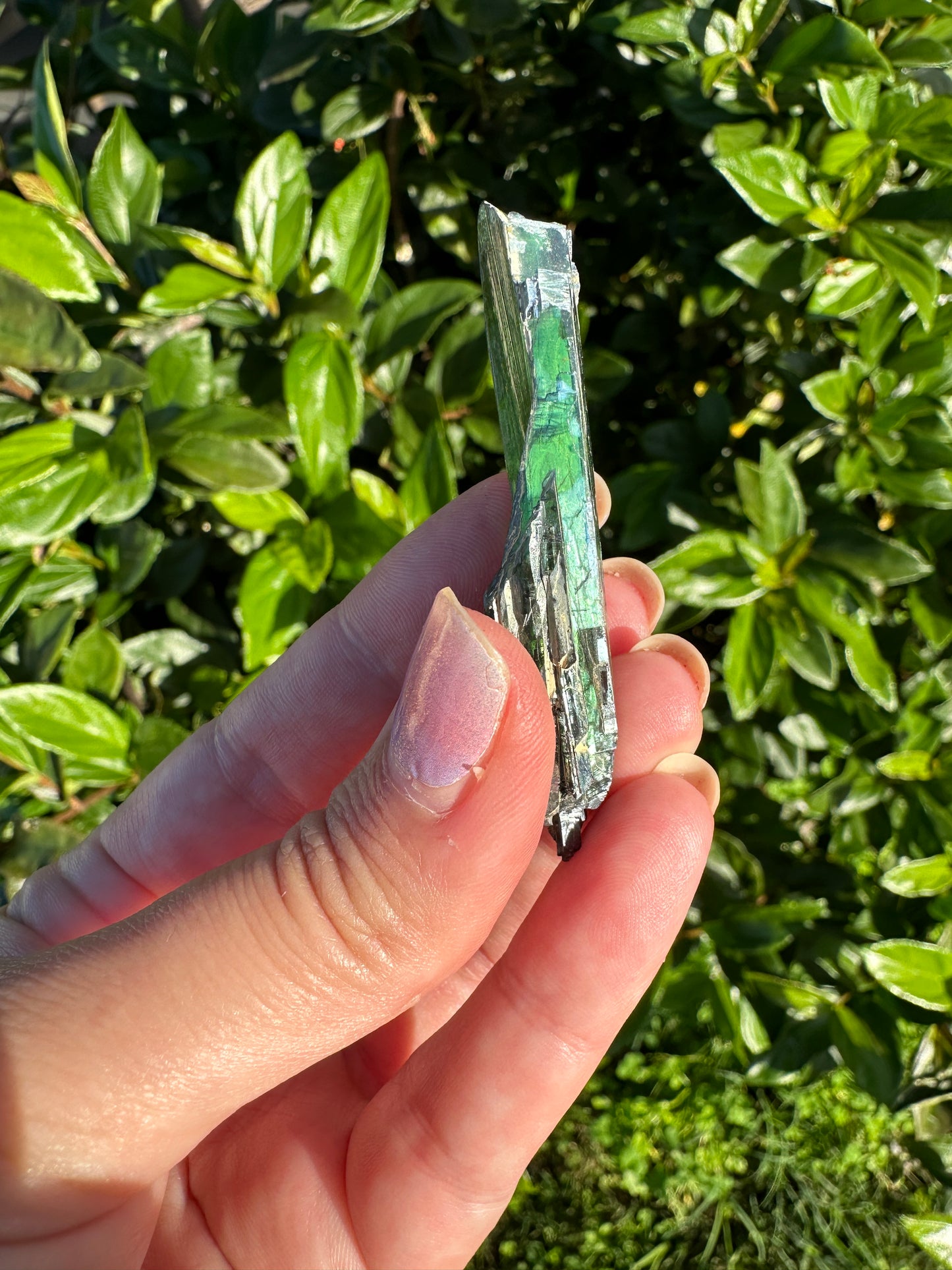 Rare Vivianite Specimen - Natural Crystal for Collectors, Healing Energy Mineral, Vibrant Blue Green Stone, Unique Geological Gift