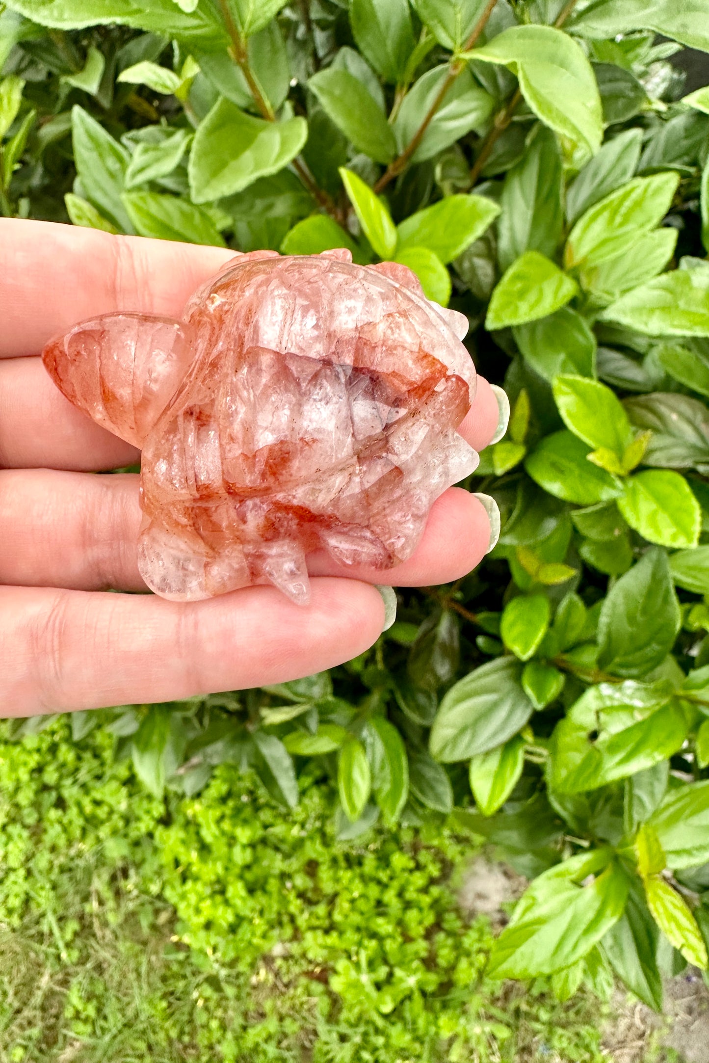 Fire Quartz Turtle Carving - Infuse Your Space with Strength and Passion, Perfect for Home Decor, Healing, and Unique Gift Ideas