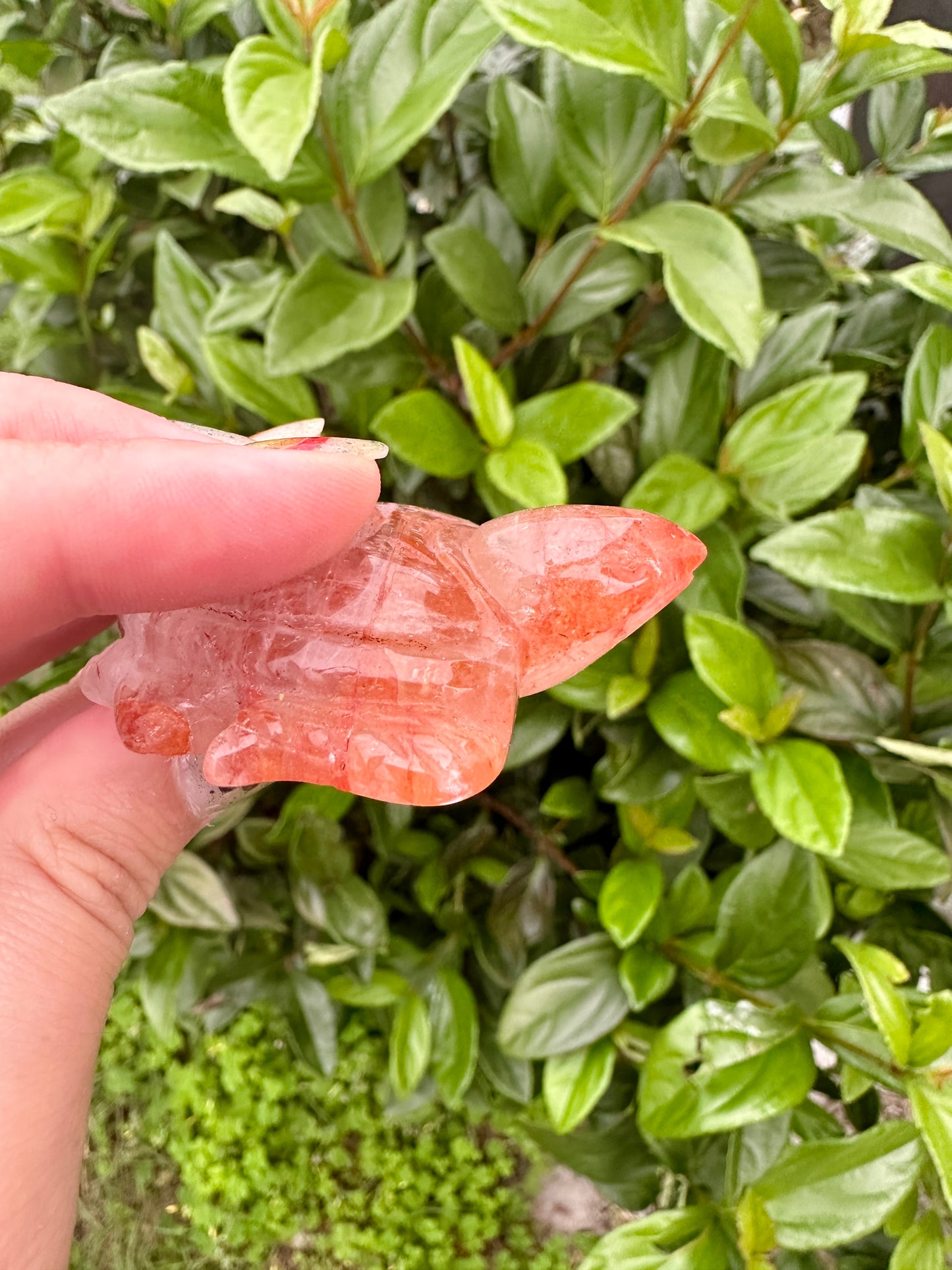 Fire Quartz Turtle Carving - Infuse Your Space with Strength and Passion, Perfect for Home Decor, Healing, and Unique Gift Ideas