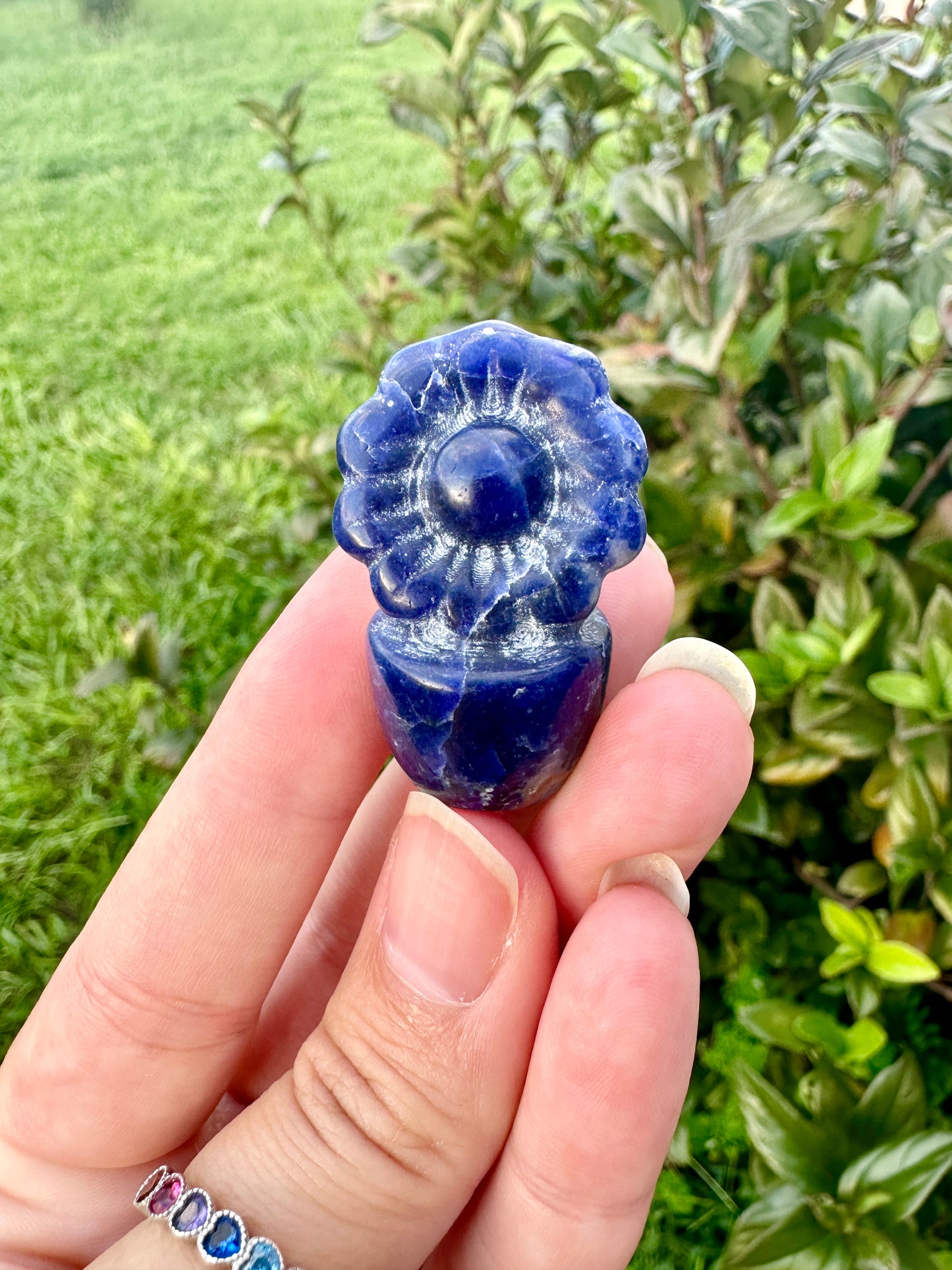 Sodalite Flower Plant Carving, Handcrafted Sodalite Crystal Plant, Healing Sodalite Flower Sculpture, Natural Sodalite Decor, Blue Crystal Energy Carving for Home