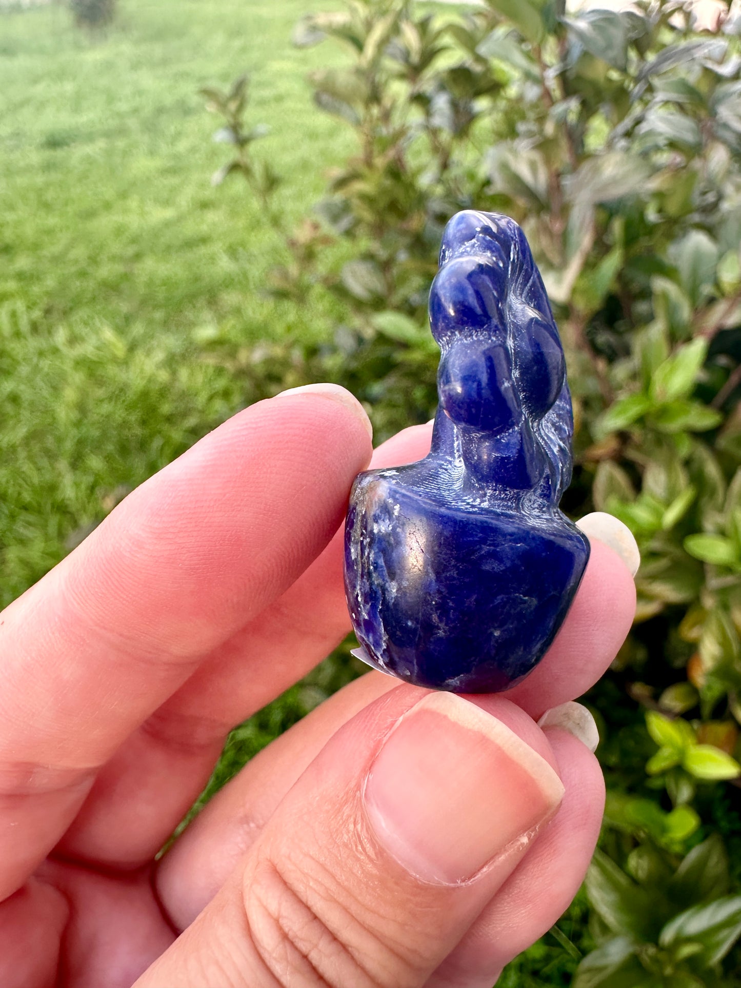 Sodalite Flower Plant Carving, Handcrafted Sodalite Crystal Plant, Healing Sodalite Flower Sculpture, Natural Sodalite Decor, Blue Crystal Energy Carving for Home