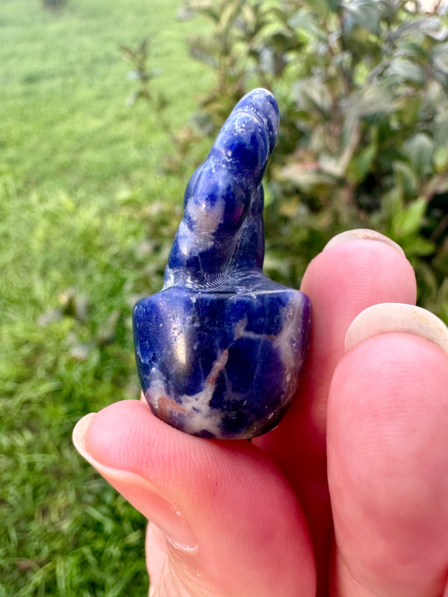 Sodalite Flower Plant Carving, Handcrafted Sodalite Crystal Plant, Healing Sodalite Flower Sculpture, Natural Sodalite Decor, Blue Crystal Energy Carving for Home