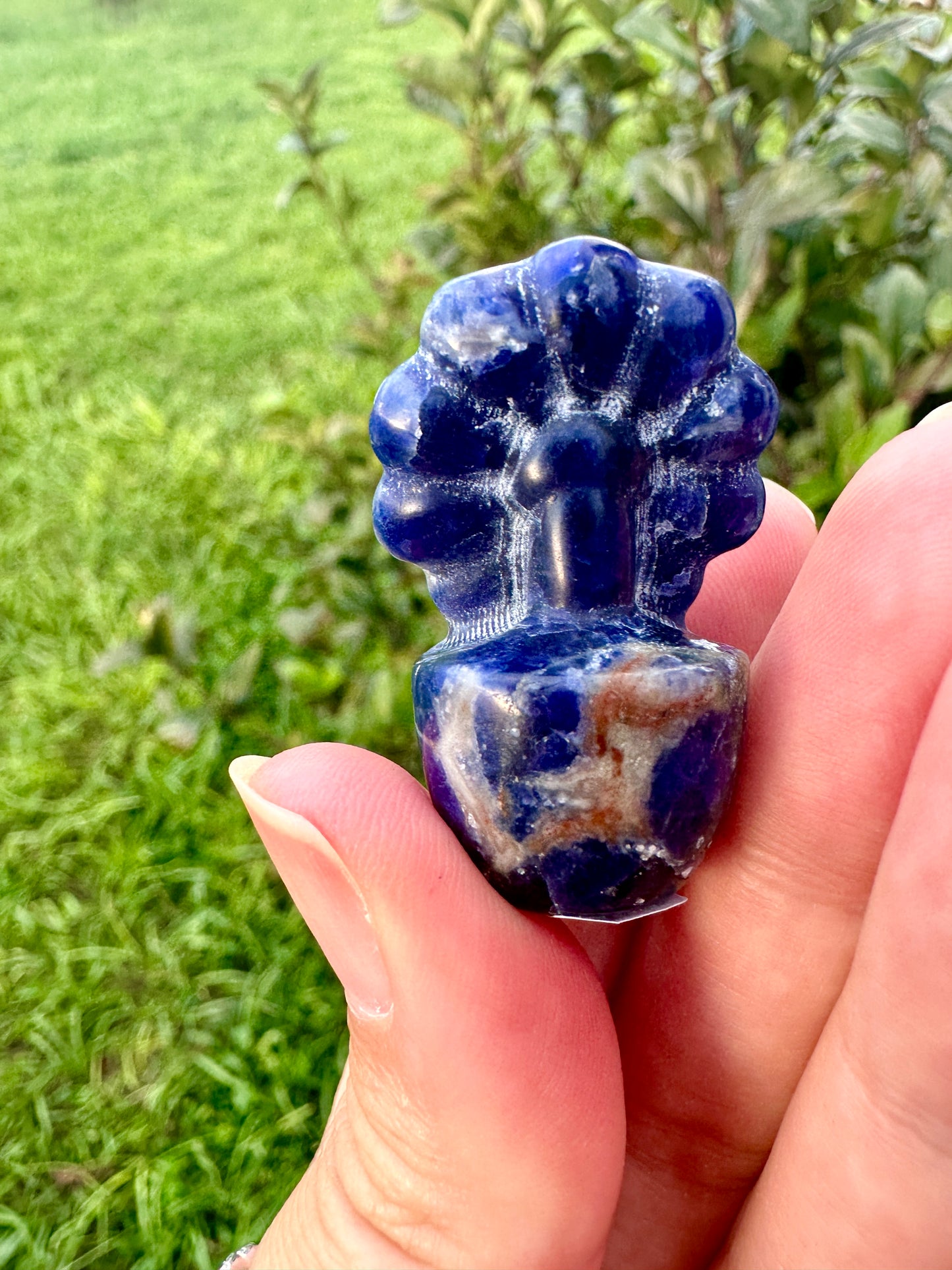 Sodalite Flower Plant Carving, Handcrafted Sodalite Crystal Plant, Healing Sodalite Flower Sculpture, Natural Sodalite Decor, Blue Crystal Energy Carving for Home