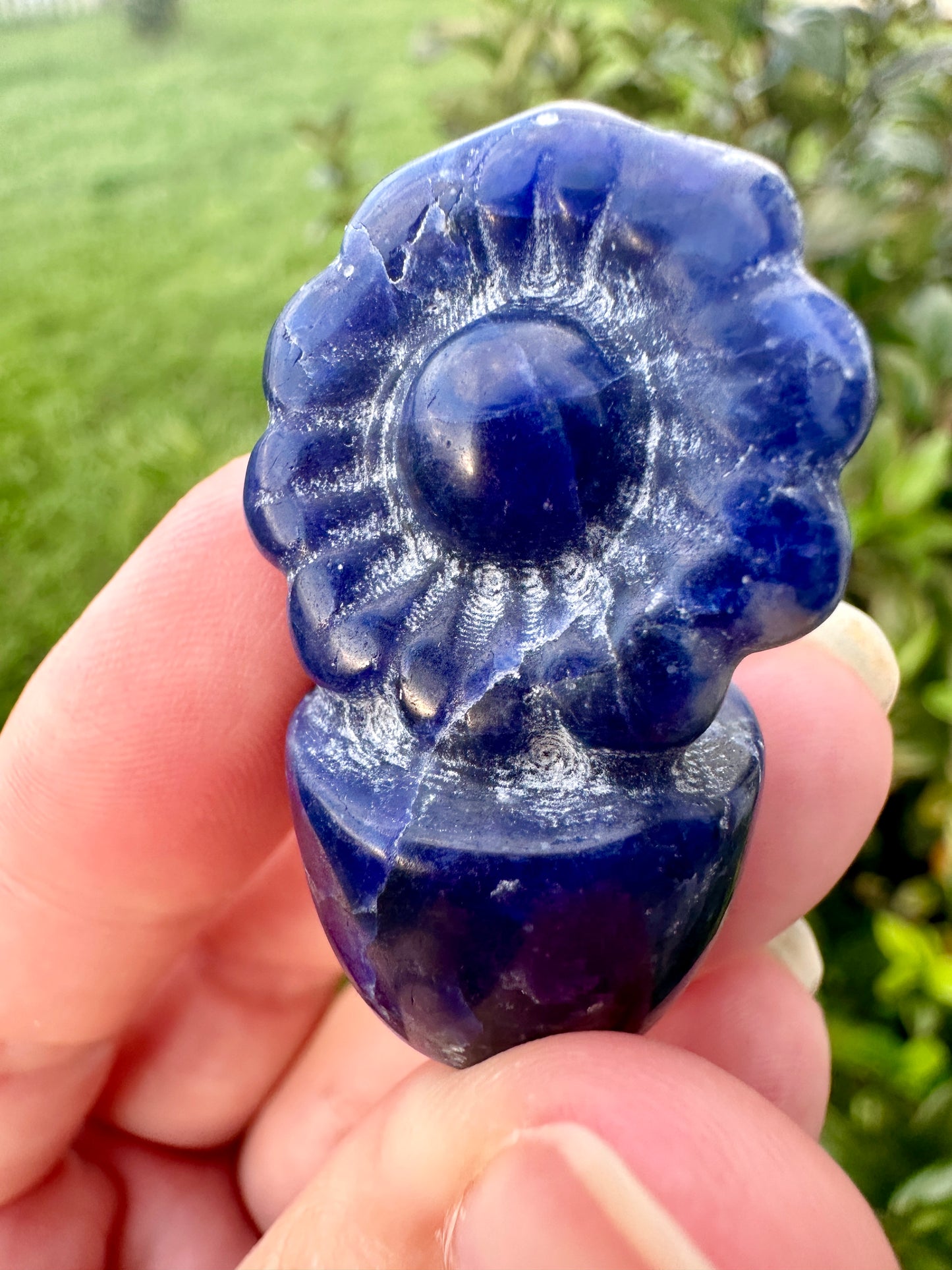 Sodalite Flower Plant Carving, Handcrafted Sodalite Crystal Plant, Healing Sodalite Flower Sculpture, Natural Sodalite Decor, Blue Crystal Energy Carving for Home