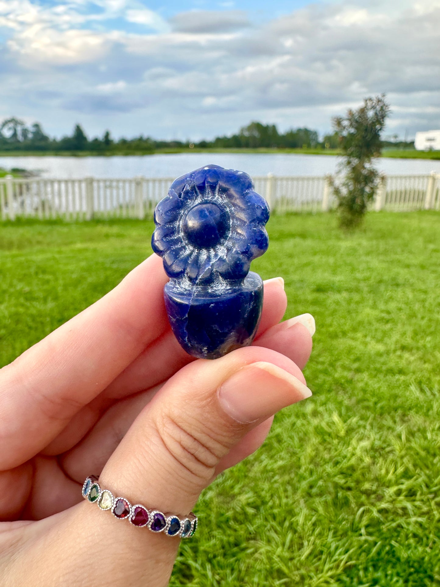 Sodalite Flower Plant Carving, Handcrafted Sodalite Crystal Plant, Healing Sodalite Flower Sculpture, Natural Sodalite Decor, Blue Crystal Energy Carving for Home