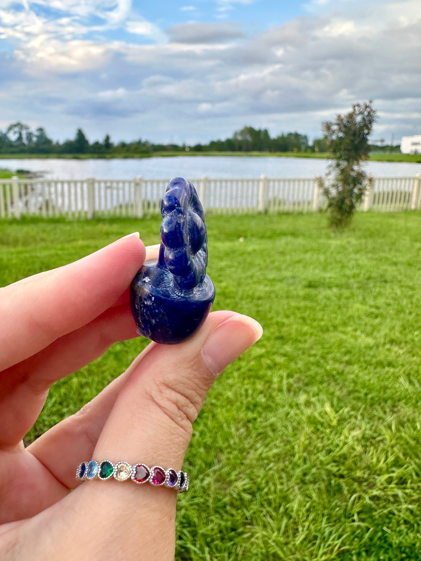 Sodalite Flower Plant Carving, Handcrafted Sodalite Crystal Plant, Healing Sodalite Flower Sculpture, Natural Sodalite Decor, Blue Crystal Energy Carving for Home