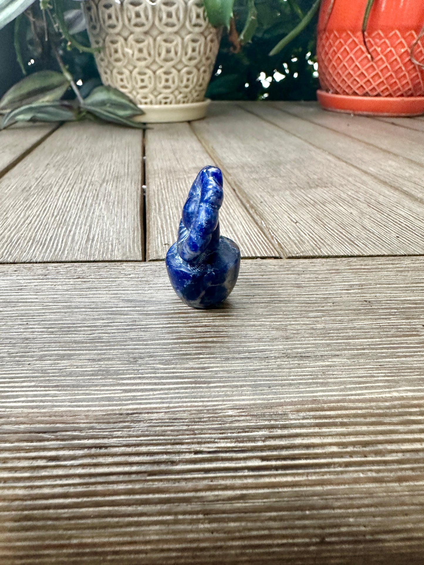 Sodalite Flower Plant Carving, Handcrafted Sodalite Crystal Plant, Healing Sodalite Flower Sculpture, Natural Sodalite Decor, Blue Crystal Energy Carving for Home