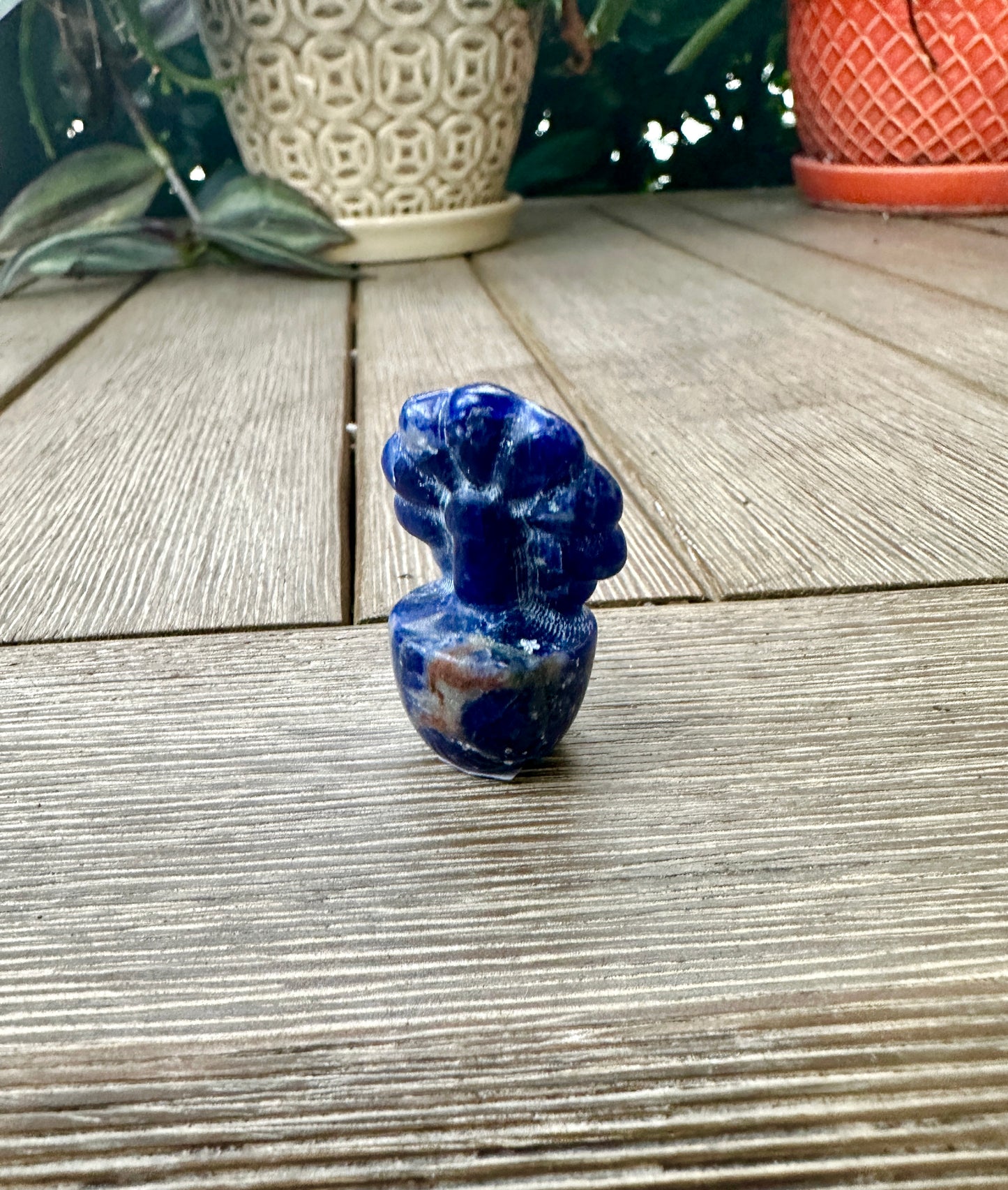 Sodalite Flower Plant Carving, Handcrafted Sodalite Crystal Plant, Healing Sodalite Flower Sculpture, Natural Sodalite Decor, Blue Crystal Energy Carving for Home