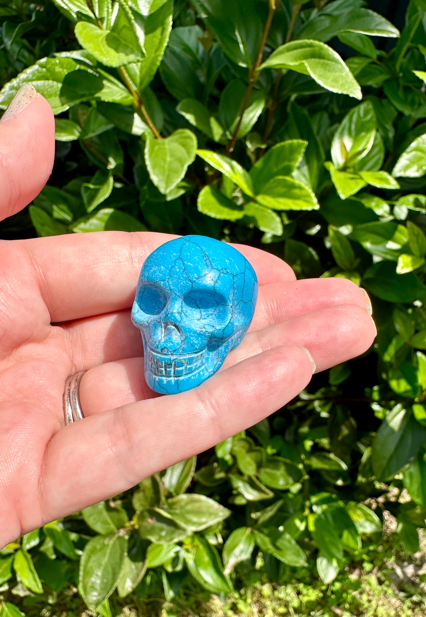 blue howlite skull, skull carving, peace symbol, meditation decor, spiritual artifact, tranquil decor, unique skull art, collector's gem, calming stone, mystic carving, zen accessory, energy focal point, howlite art