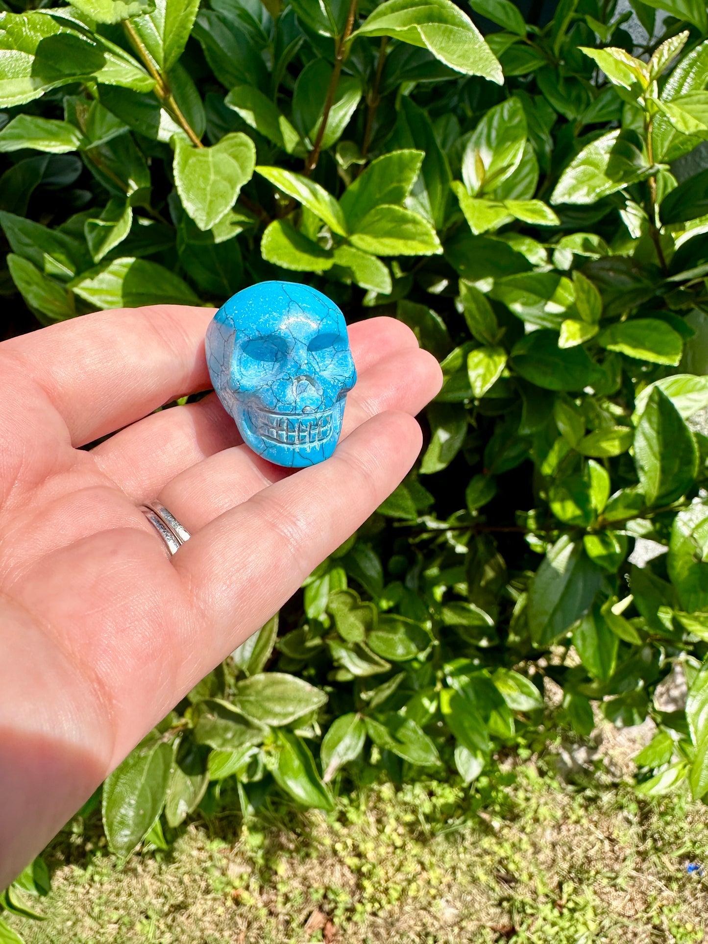 blue howlite skull, skull carving, peace symbol, meditation decor, spiritual artifact, tranquil decor, unique skull art, collector's gem, calming stone, mystic carving, zen accessory, energy focal point, howlite art