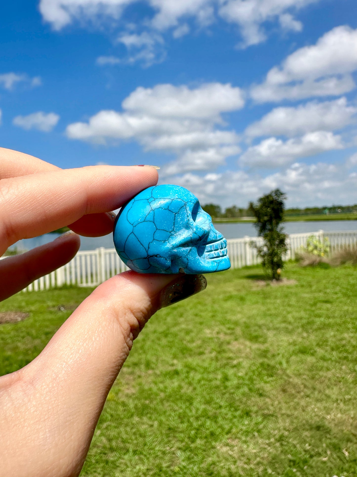 blue howlite skull, skull carving, peace symbol, meditation decor, spiritual artifact, tranquil decor, unique skull art, collector's gem, calming stone, mystic carving, zen accessory, energy focal point, howlite art